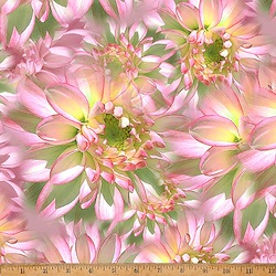Light Camellia - Bloom